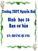 tiết 5: Axit nucleic