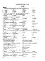 Đề ôn thi tốt nghiệp THPT Môn Tiếng Anh- Đề 10