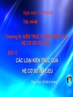 Bài 12 các loại kiến trúc của hệ CSDL