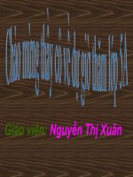 Châu đại dương và châu nam cực