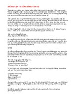 NHỮNG CẶP TỪ SONG SONG TỒN TẠI