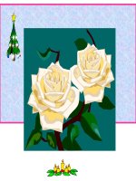 ĐỘT BIẾN NHIỄM SĂVS THỂ (TT)