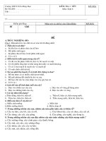 kiểm tra 1 tiết SInh 6-HKI