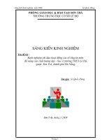 SKKN dat giai A nam 2008