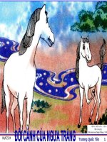 DOI CANH CUA NGUA TRANG