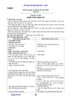 giao an tuan 7 du bo