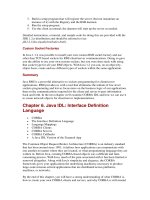 Java IDL - interface definition language