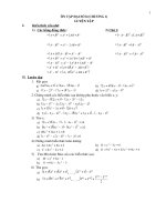 ON TAP DAI SO LOP 8 CHUONG 1