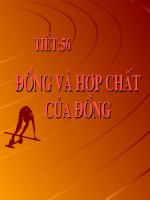 Cu va hop chat cua Cu