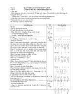 GIÁO ÁN LỚP 3 TIẾT 17- 36