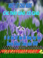 Chan dung cac tac gia ngu van lop 9