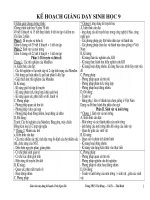 Ke hoach sinh 9 ca nam