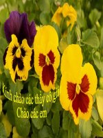 BAI 7:HDSX...TAY NGUYEN