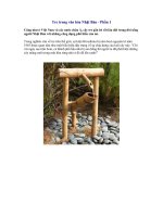 Tre trong văn hóa Nhật Bản