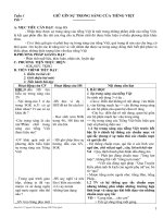 Tiết 7 : Giữ gìn sự trong sáng của Tiếng Việt