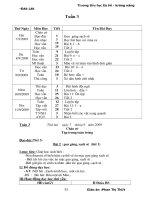 Lớp 1B tuần 3 PThiết