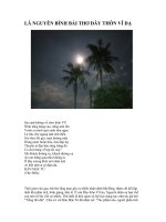 ĐÂY THÔN VĨ DÂ-BÀI BÌNH CỦA LÃ NGUYÊN