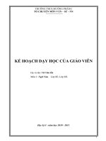 Kế hoạch dạy học môn NVăn 8