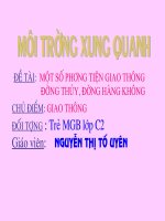 MTXQ: một số PTGT