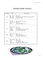 Giáo án lớp 1 tuần 20