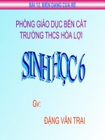 BÀI 12: BIẾN DẠNG CỦA RỄ