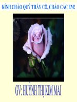 Đa dạng của lớp thú (tt)