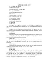 KHBM mau moi thach thanh