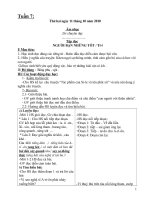 GIAO AN LOP 5 TUAN 8 ( CKTKN ) DAI ND