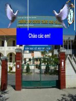 TRAO DOI KHOANG VA NITO O THUC VAT