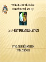 dùng thực vật xử lý môi trường