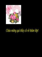 Giáo án điện tử Hóa 9