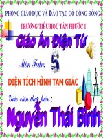 Diện tích hình tam giác - Toán 5 (Thầy Nguyễn Thái Bình)
