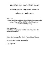 Nâng cao hiệu quả hoạt động Marketing trong ngân hàng Nông nghiệp và Phát triển Nông thôn –  Chi nhánh Thăng Long.