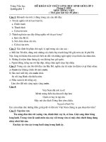 de khao sat HSG lop 5 (T.Viet)