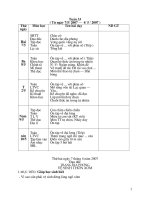 Tuần 33 lớp 4 SN