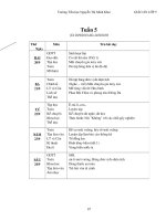 GIÁO ÁN LOP 5 TUAN 6,7,8