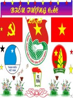 Biểu Tượng Đòan Đội