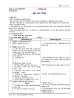 GA lớp 2 (tuần 11)