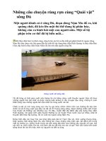 NHỮNG CHUYỆN RÙNG RỢN VỀ QUÁI VẬT SÔNG ĐÀ