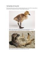 Ảnh đẹp Trong tuần a