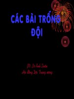 Chuyên đề các bài trống đội