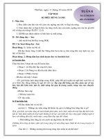 @- giao an 5 tuan 8- mot cot