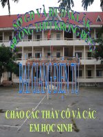 Tiết 68: ÔN TẬP HỌC KÌ II
