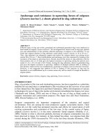 Anchorage and resistance to uprooting forces of eelgrass (Zostera marina L.) shoots planted in slag substrates 