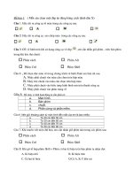 de thi kiem tra hoc ki 2