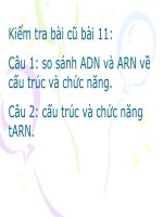 bai 13-tế bào nhân sơ