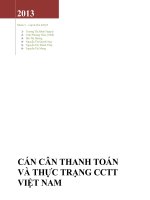 Can can thanh toan viet namx 
