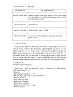 báo cáo thị hiếu 