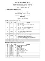 PPCT Tin 12 2009 - 2010