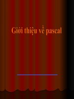 Giới thiệu về Pascal